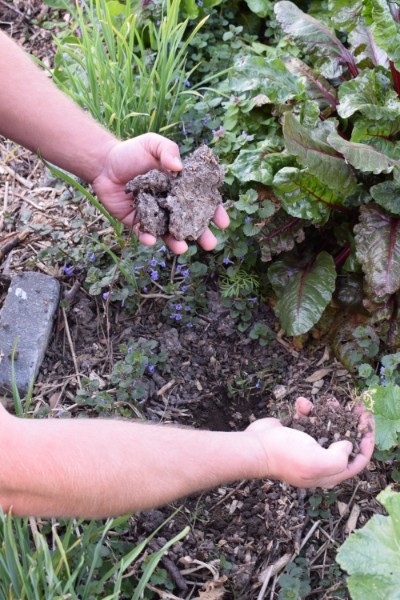 bed voor mulchen met compost