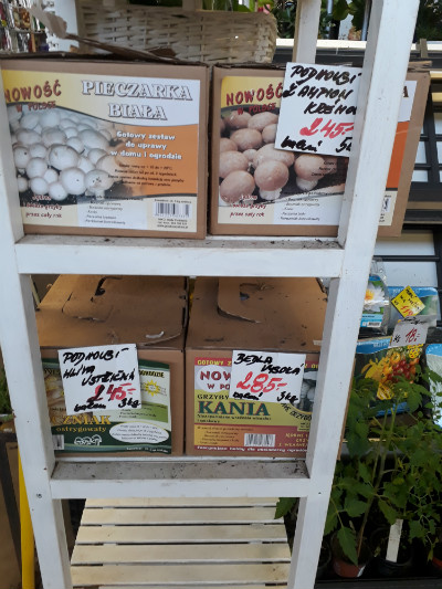 paddenstoelen kits markt Praag