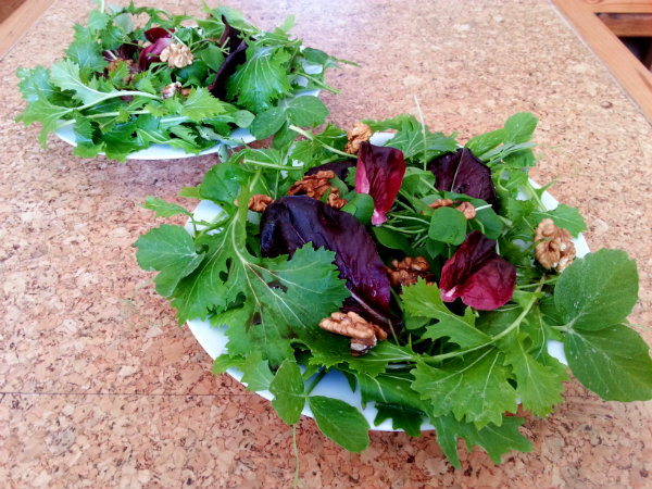 Een winterse salade met raapstelen en winterpostelein in de hoofdrol