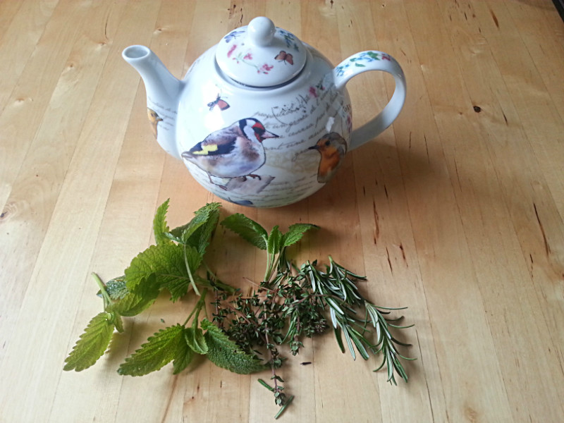 schuld Moeras rek Zet eens een lekker kopje thee uit eigen tuin!