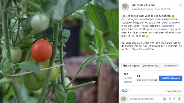 FB eerste tomaat